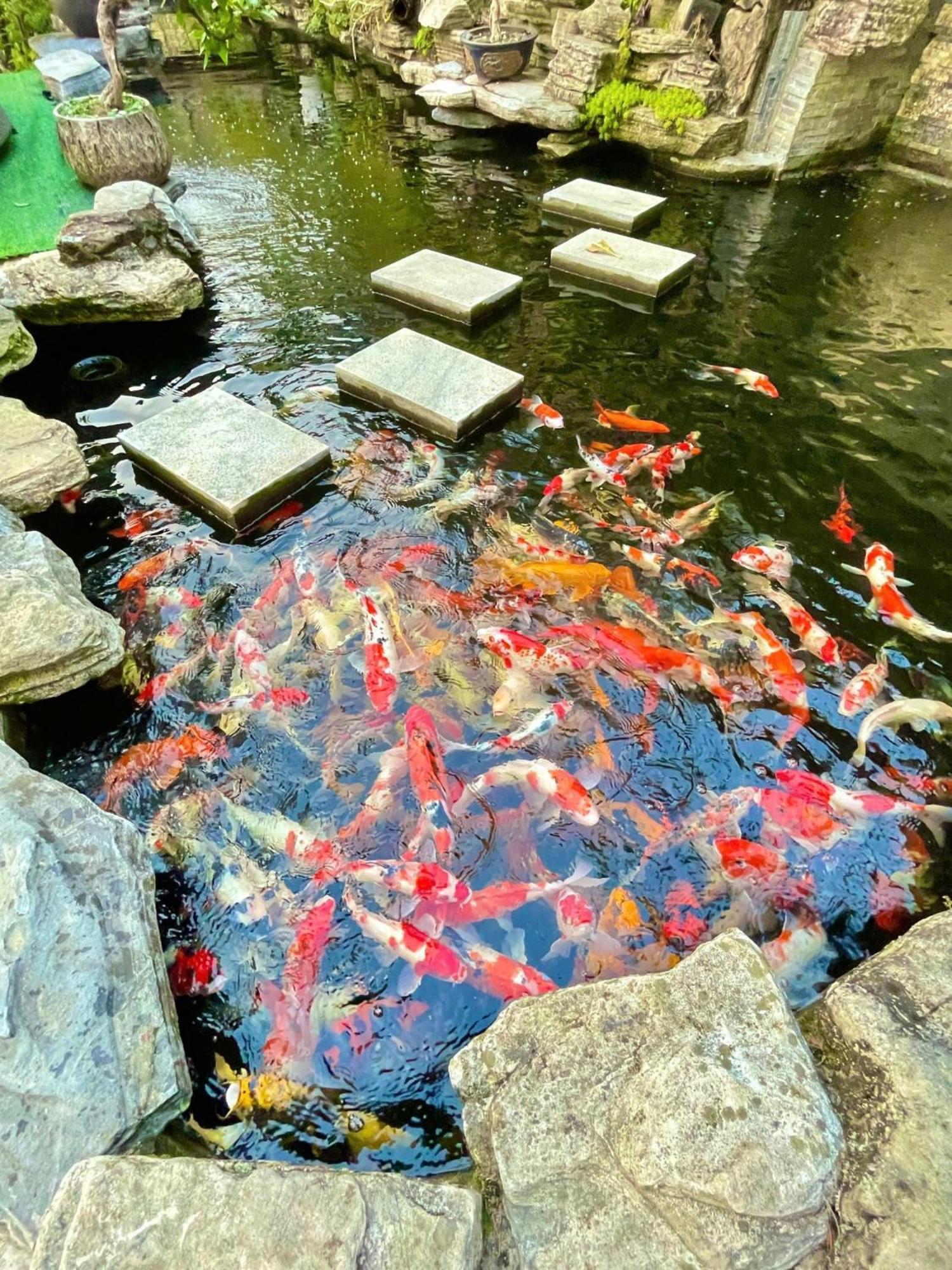 Chuon Chuon Villa Homestay Tam Ðảo Dış mekan fotoğraf