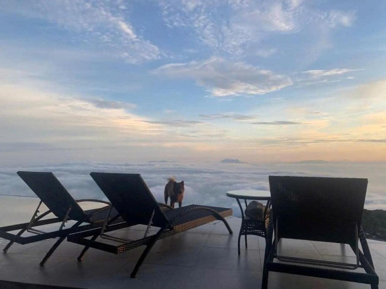 Chuon Chuon Villa Homestay Tam Ðảo Dış mekan fotoğraf
